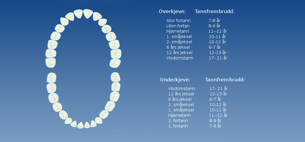 Tannfrembrudd Tannhelse Rogaland